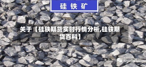 关于【硅铁期货实时行情分析,硅铁期货百科】