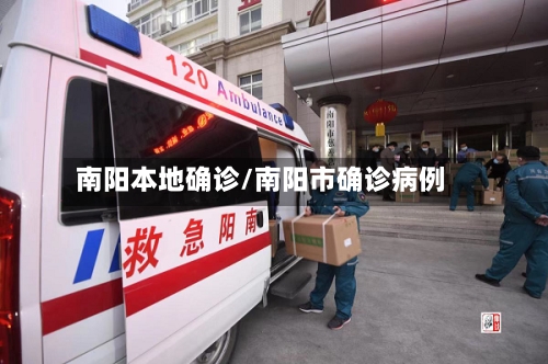 南阳本地确诊/南阳市确诊病例