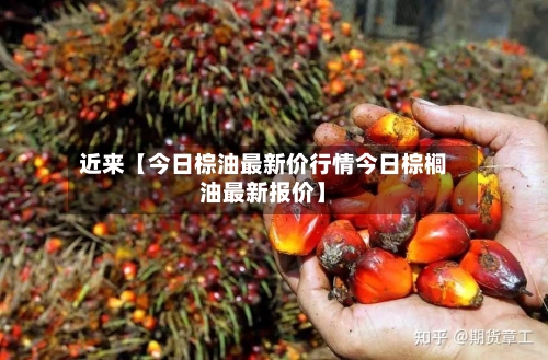 近来【今日棕油最新价行情今日棕榈油最新报价】-第2张图片