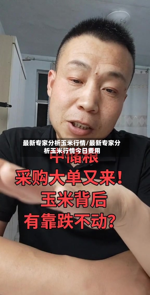 最新专家分析玉米行情/最新专家分析玉米行情今日费用-第2张图片