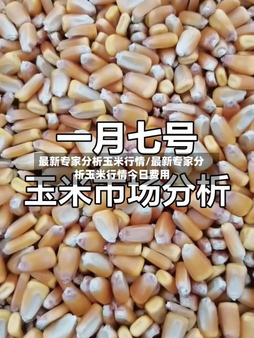 最新专家分析玉米行情/最新专家分析玉米行情今日费用