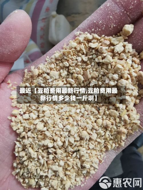 最近【豆粕费用最新行情,豆粕费用最新行情多少钱一斤啊】