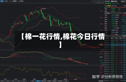 【棉一花行情,棉花今日行情】-第3张图片