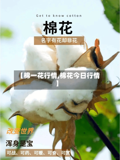 【棉一花行情,棉花今日行情】